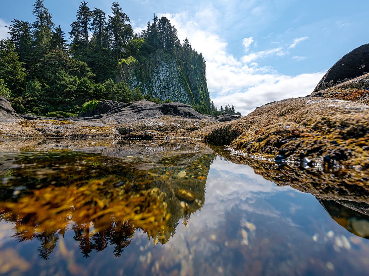 Haida Gwaii reflection pool landscape